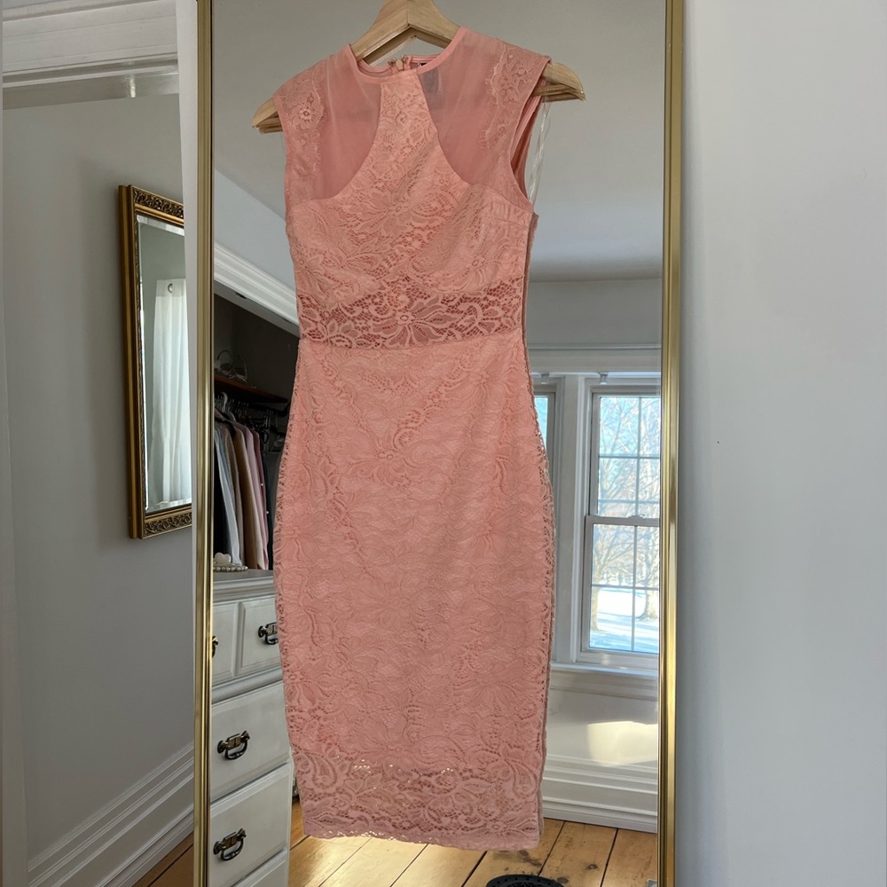 NWT Windsor Dress Size Small Pink Lace with Sheer details